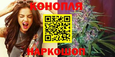 МДПВ Тула