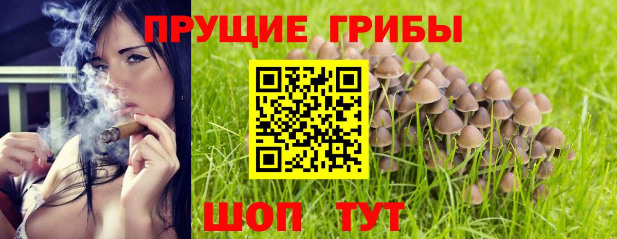 Псилоцибиновые грибы мухоморы  купить закладку  Бугуруслан  Вход с VPN 